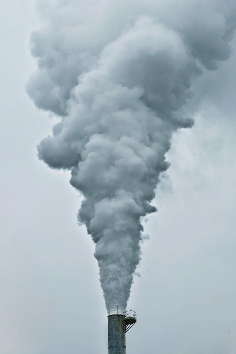 Carbon accounting you can get assured.